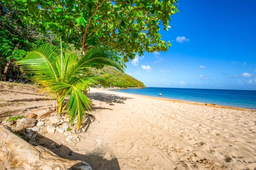Reduit Beach shade under trees