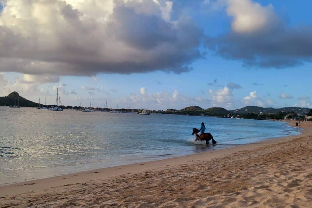 Horseback Riding in St Lucia